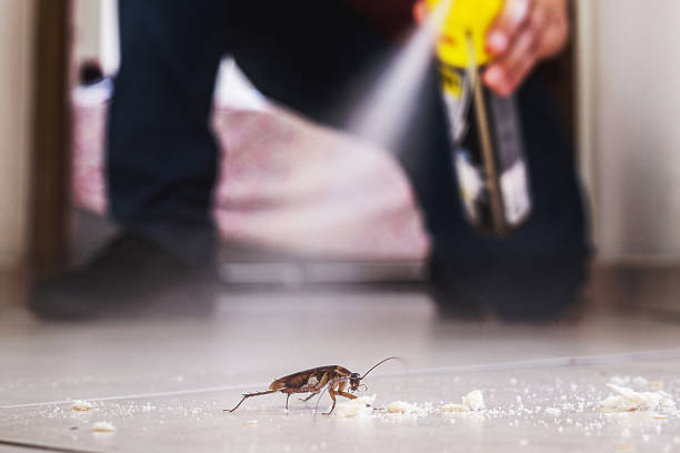 Best Pest Inspection Near Me  in Norwich, CT