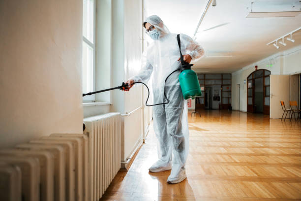 Best Bed Bug Extermination  in Norwich, CT